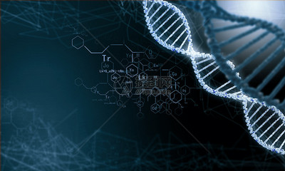 DNA分子高科技DNA分子的生物化学背景