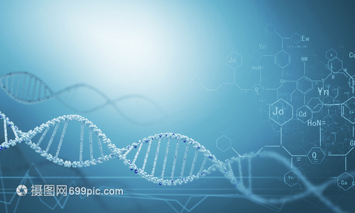 DNA分子高科技DNA分子的生物化学背景