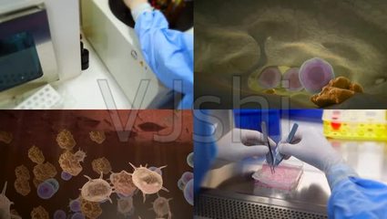 生物制药生物科技生物工程